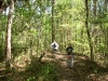 Orienteering at Croom