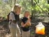 Orienteering at Croom