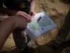 Orienteering at Croom