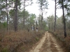 Orienteering at Croom