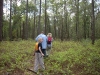 Orienteering at Croom