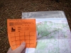 Orienteering at Croom
