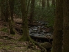 Our Camp Site