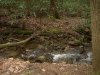 Our Camp Site