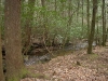 Our Camp Site