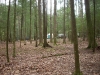 Our Camp Site