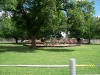 Pictures around Mangum