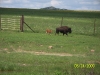 Sight seeing in Oklahoma
