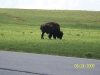 Sight seeing in Oklahoma