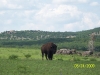 Sight seeing in Oklahoma