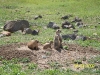 Sight seeing in Oklahoma