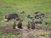 Sight seeing in Oklahoma