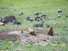 Sight seeing in Oklahoma