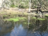 Withlacoochee River
