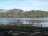 Silver Lake