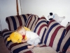 Old Pics of the boys013