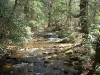 Lower DeSoto Falls