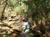 Upper DeSoto Falls