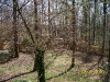 south-carolina-for-spring-break-006