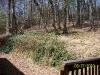 south-carolina-for-spring-break-009