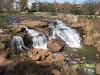 south-carolina-for-spring-break-033