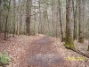 south-carolina-for-spring-break-057