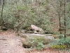 south-carolina-for-spring-break-058