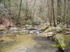 south-carolina-for-spring-break-059