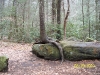 south-carolina-for-spring-break-062