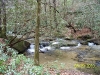 south-carolina-for-spring-break-063