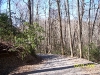 south-carolina-for-spring-break-097