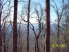 south-carolina-for-spring-break-098
