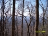south-carolina-for-spring-break-099