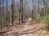 south-carolina-for-spring-break-100