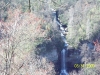 south-carolina-for-spring-break-101