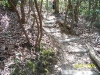 south-carolina-for-spring-break-104