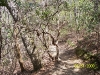 south-carolina-for-spring-break-105