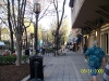 south-carolina-for-spring-break-106