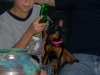 Gidget...such a sweetie!